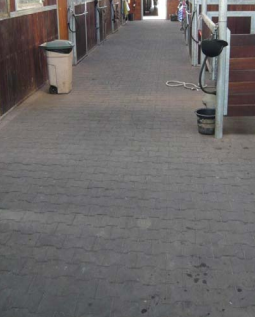 ErgoFloor - ErgoPave H-Link Equine gummifliser – Gulve & underlag, billede 3 hos ActiveNordic