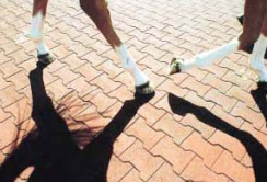 ErgoFloor - ErgoPave H-Link Equine gummifliser – Gulve & underlag, billede 3 hos ActiveNordic