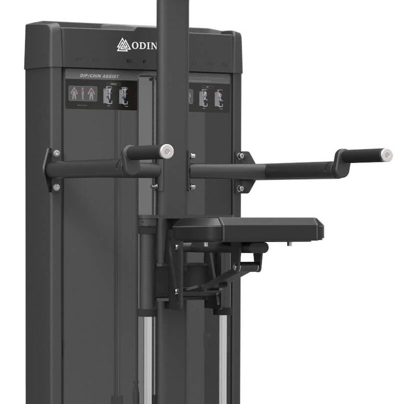Odin PRO Dip/Chin Assist – Pull-up-stang, billede 4 hos ActiveNordic